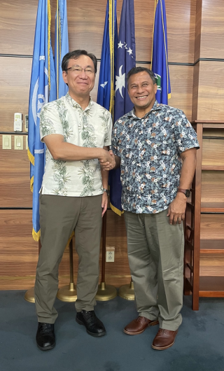 vice president